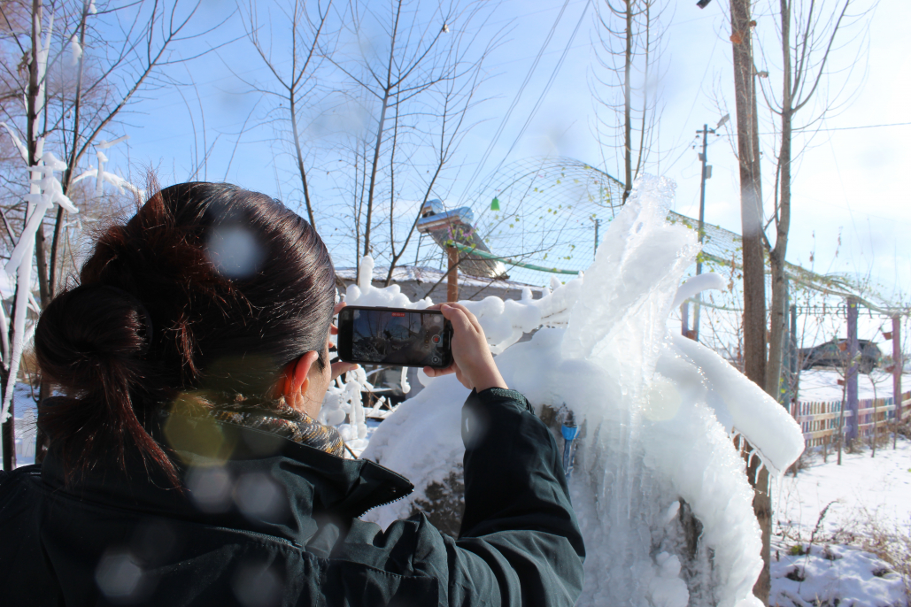 Ağrı'da zemheri günleri başladı, şehir buz tuttu 4