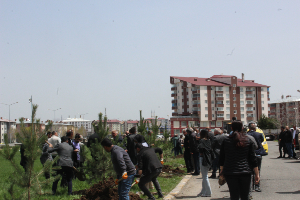 Ağrı Belediyesi’nden barış fidanlarıyla anlamlı ağaçlandırma çalışması 6