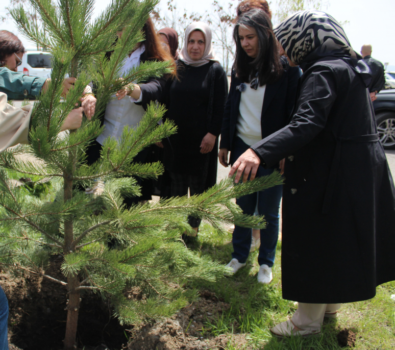 Ağrı Belediyesi’nden barış fidanlarıyla anlamlı ağaçlandırma çalışması 5