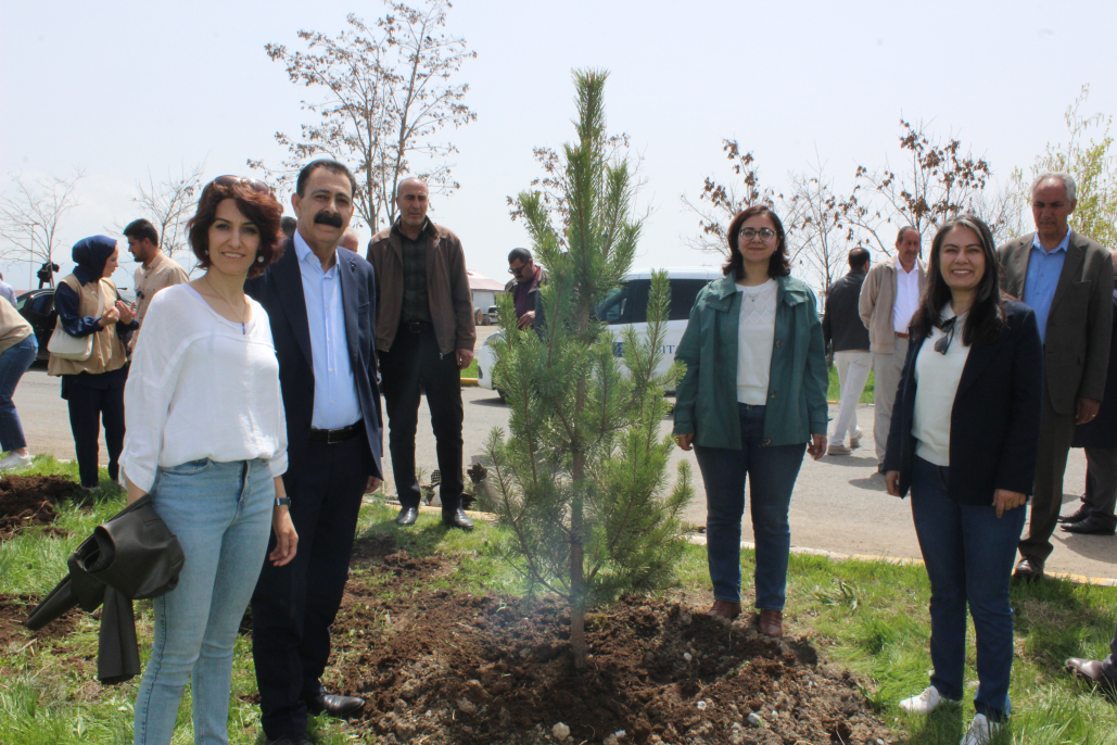 Ağrı Belediyesi’nden barış fidanlarıyla anlamlı ağaçlandırma çalışması 3