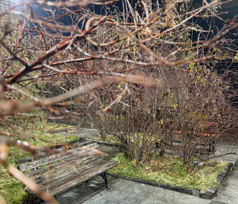 Ağrı’da yağmur, Tahir Elçi Meydanı'nda güzel görüntüler oluşturdu 2