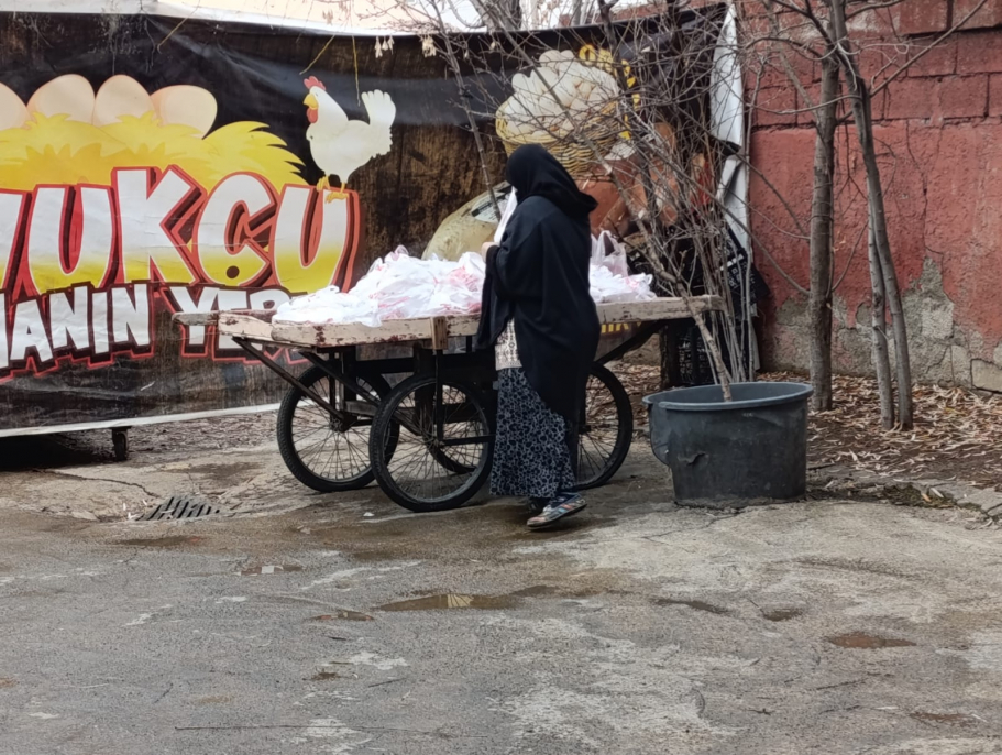 Ağrı’da her Cuma 250 aileye ücretsiz tavuk dağıtımı devam ediyor 2