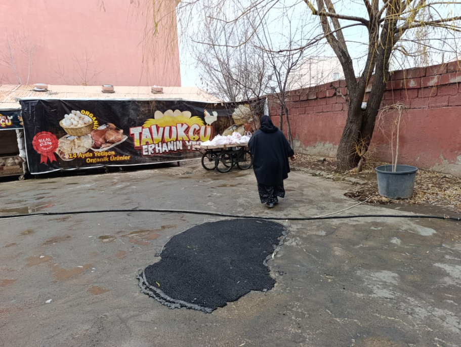 Ağrı’da her Cuma 250 aileye ücretsiz tavuk dağıtımı devam ediyor 3