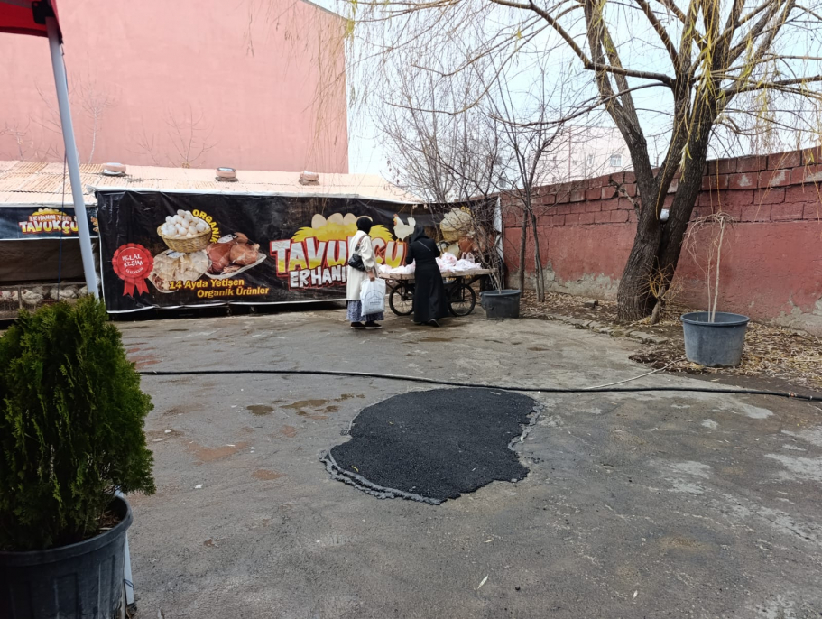 Ağrı’da her Cuma 250 aileye ücretsiz tavuk dağıtımı devam ediyor 4