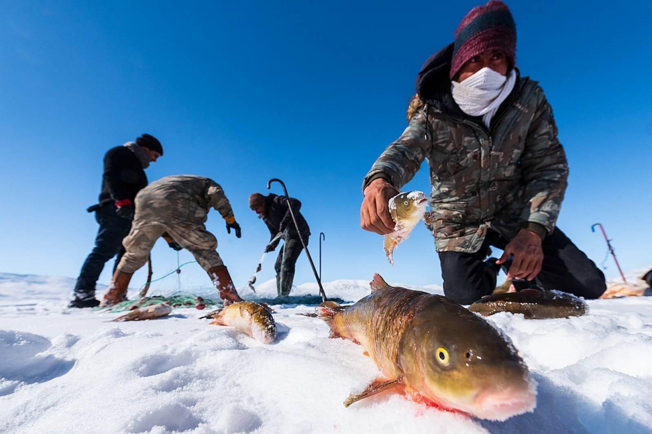 Türkiye'nin en yüksek gölü, Balık Gölü buz tuttu