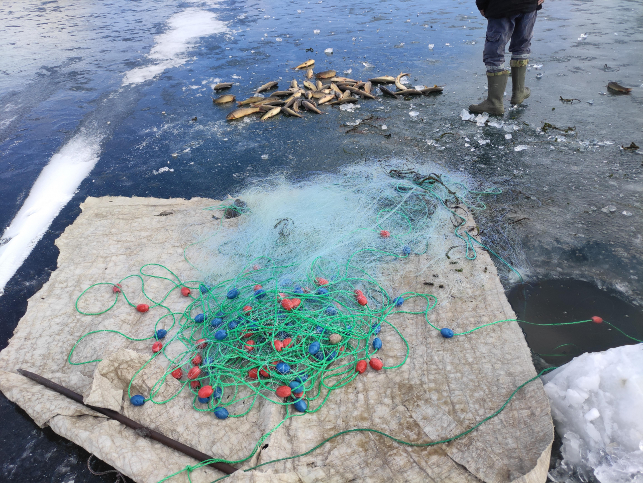 Türkiye'nin en yüksek gölü, Balık Gölü buz tuttu