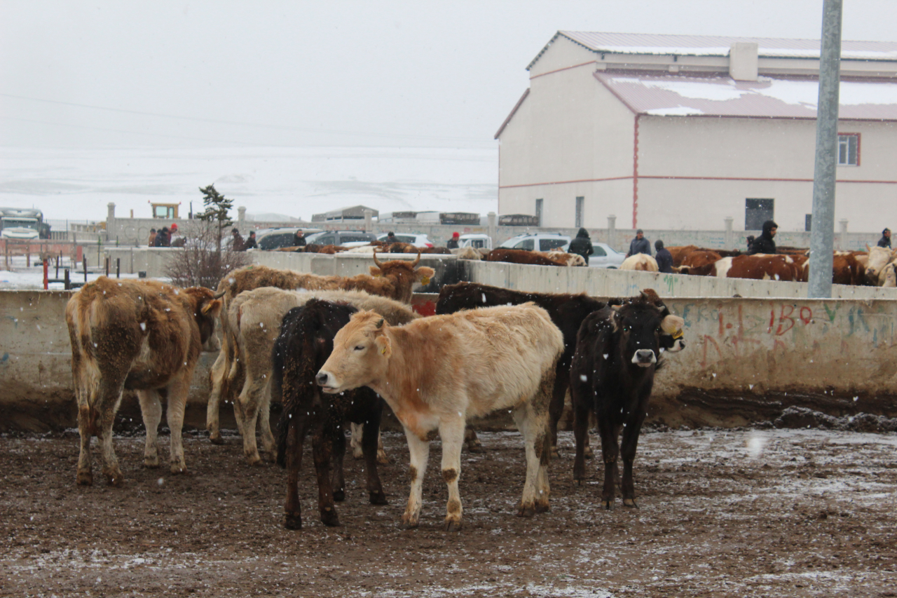Ağrı Ticaret Borsası'ndan 'Bacasız Fabrika'ya anlamlı ziyaret