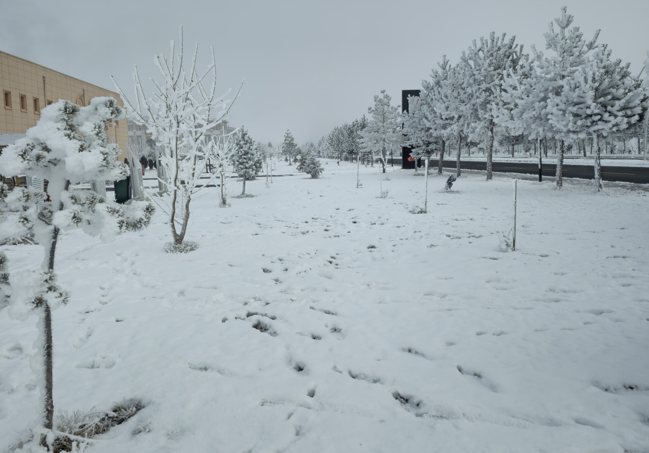 Ağrı'da soğuk zirve yaptı şehir buz kesti