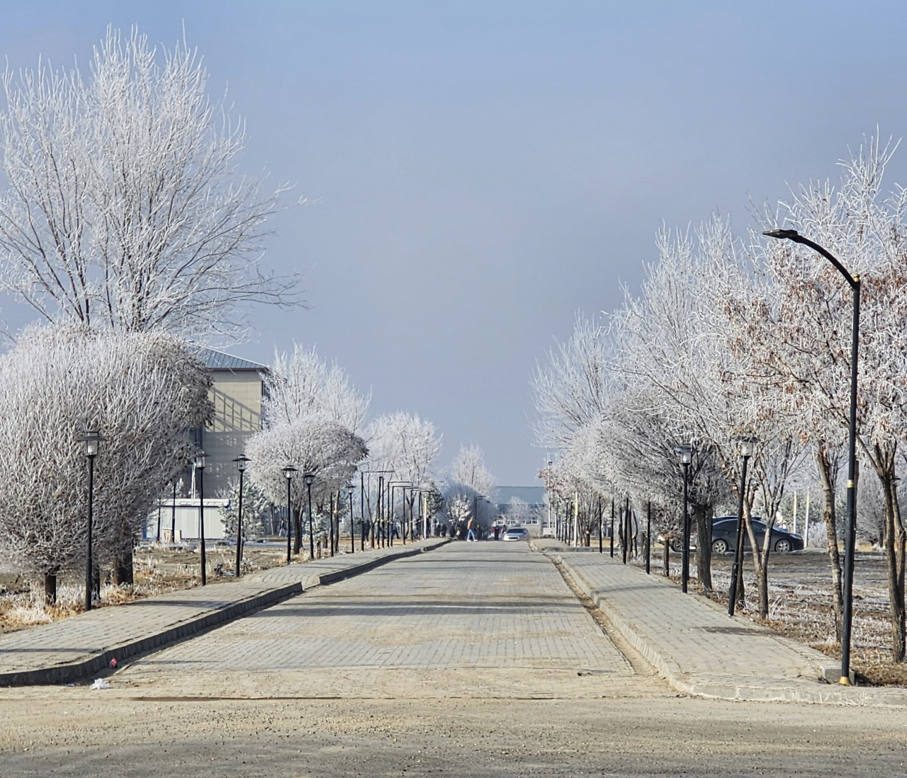 Ağrı'da soğuk zirve yaptı şehir buz kesti