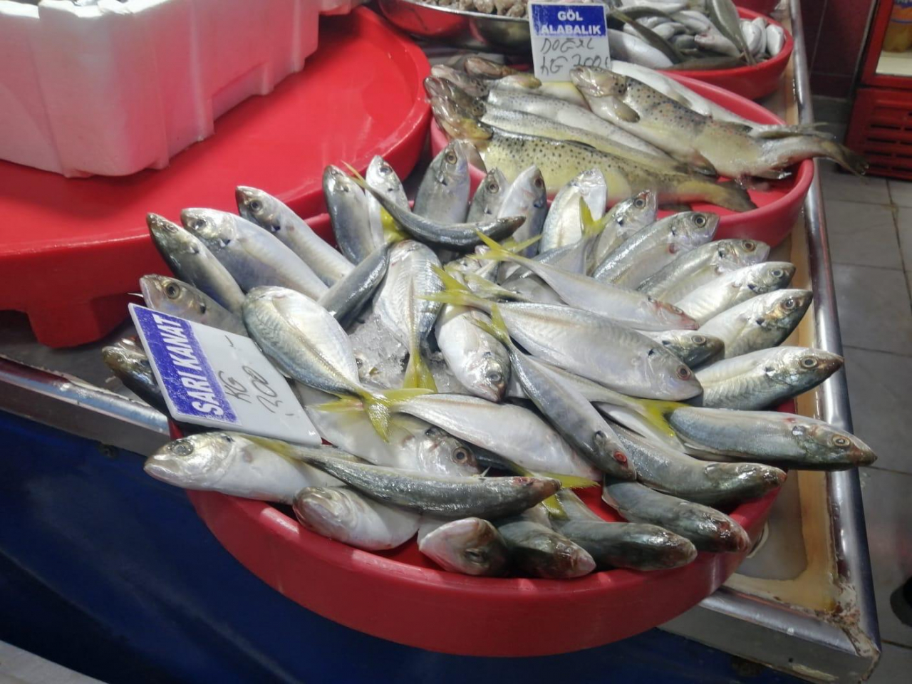 Ağrı'da balıkçılık sektörü kış aylarında canlanıyor