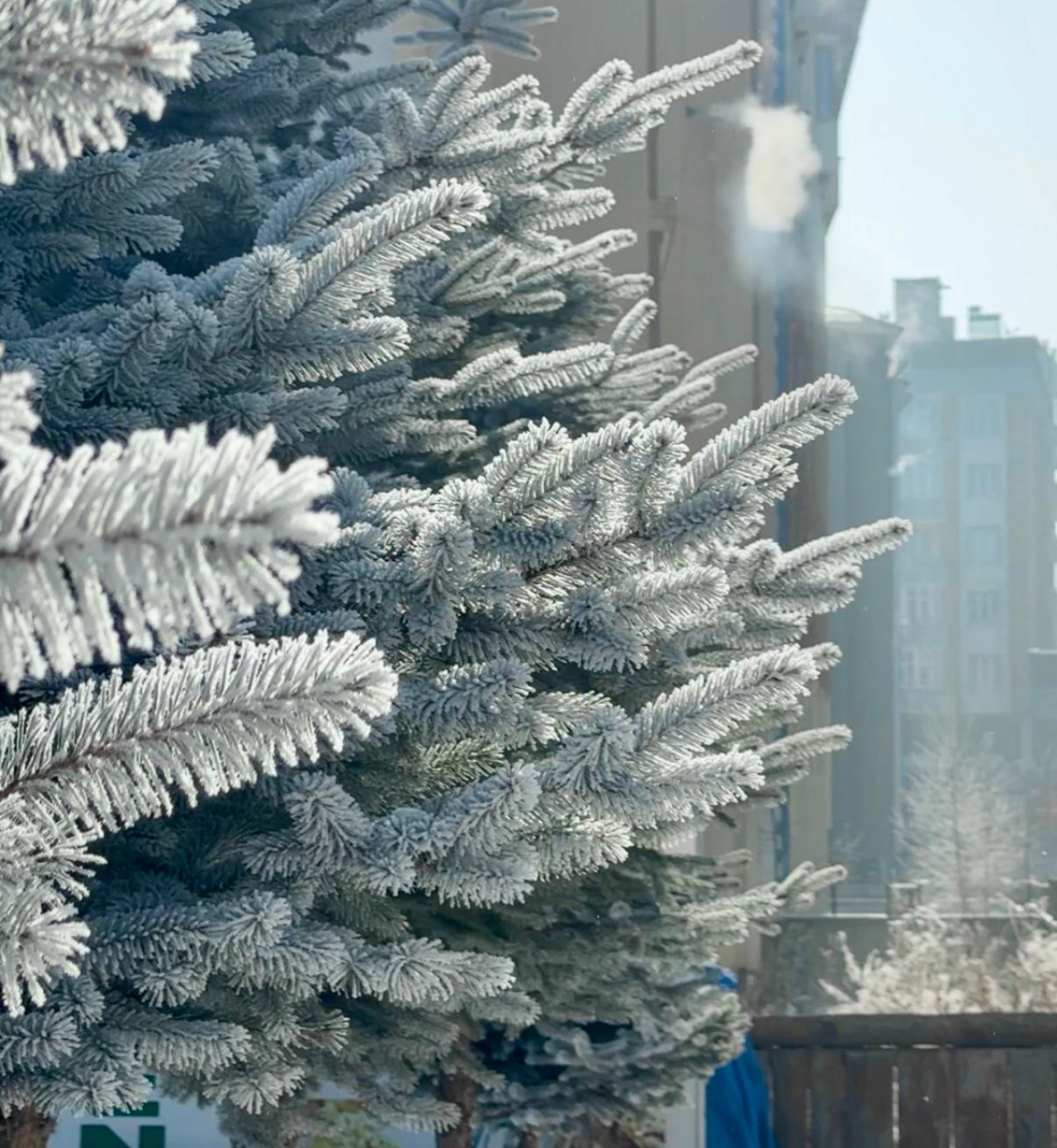 Kış şartları Ağrı'da günlük yaşamı zorlaştırıyor