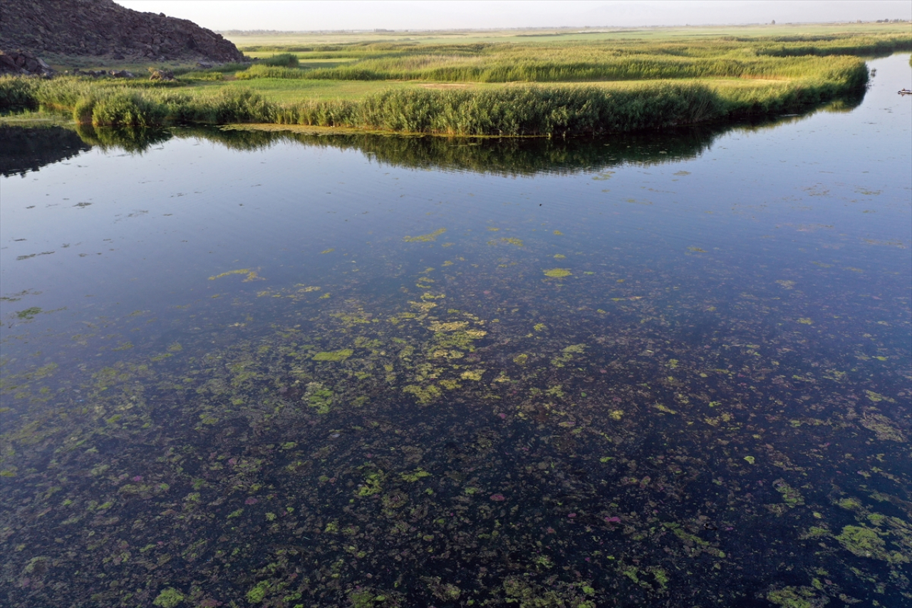 Ağrı Dağı buzulları eriyor, Karasu kuruyor