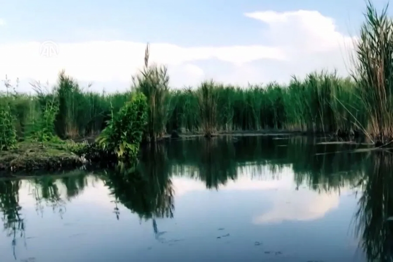 Ağrı'da Gezilecek Yerler