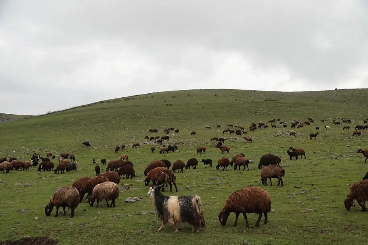 Muş'ta Gezilecek Yerler
