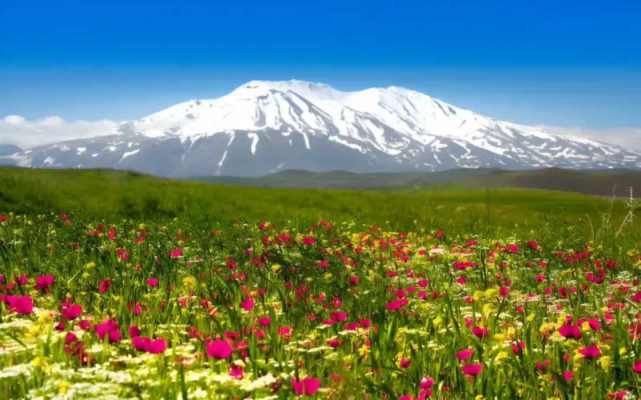 Ağrı Dağı Milli Parkı Rehberi | Ağrı Dağı hakkında Bütün Bilinmeyenler