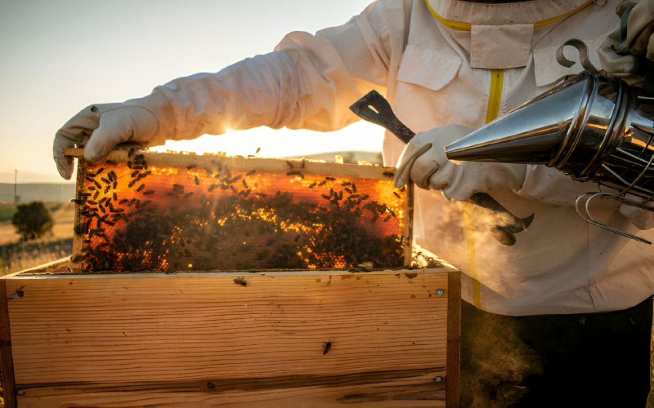 Ağrı'da Ne Yenir? 10 Meşhur Lezzet
