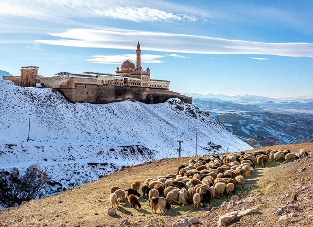 Ağrı'nın Görkemli Doğası: Dağlardan İlham Alan Keşif Noktaları