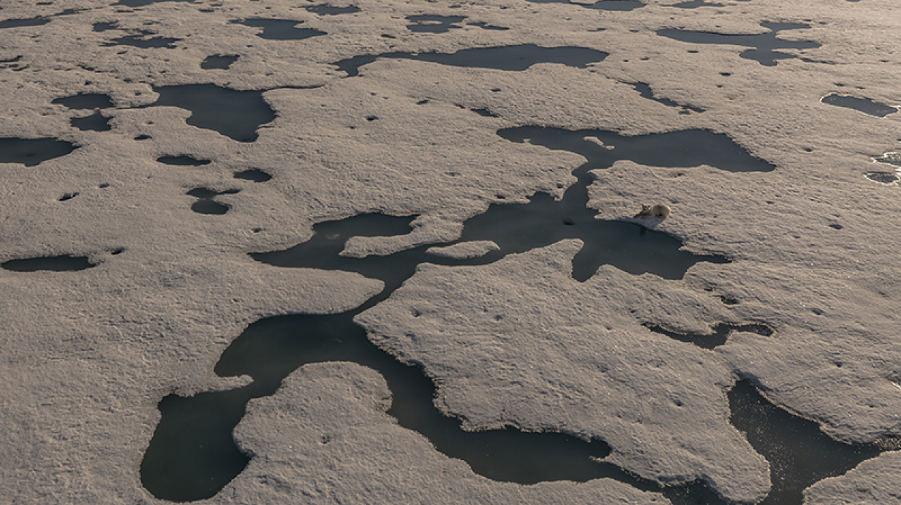 Isınma böyle sürerse Ağrı Dağı buzulları ne kadar dayanır?