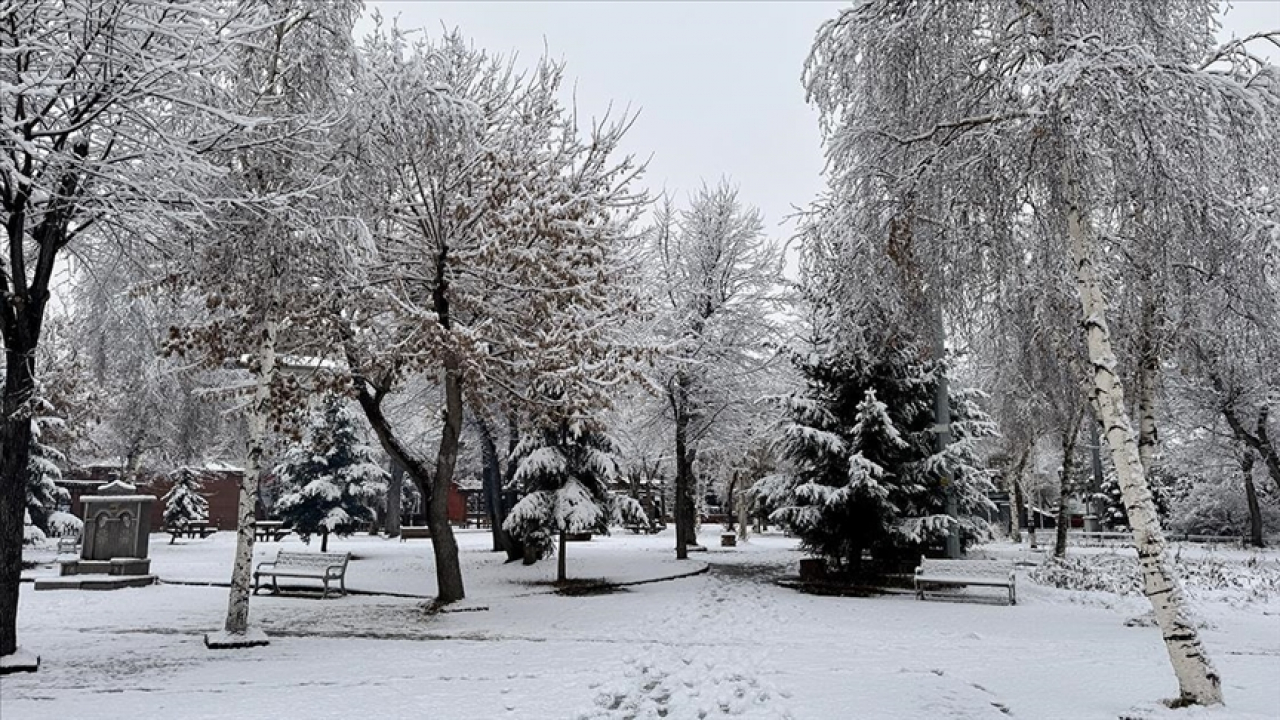 Ağrı'dan Tunceli'ye Doğu Anadolu karla uyandı